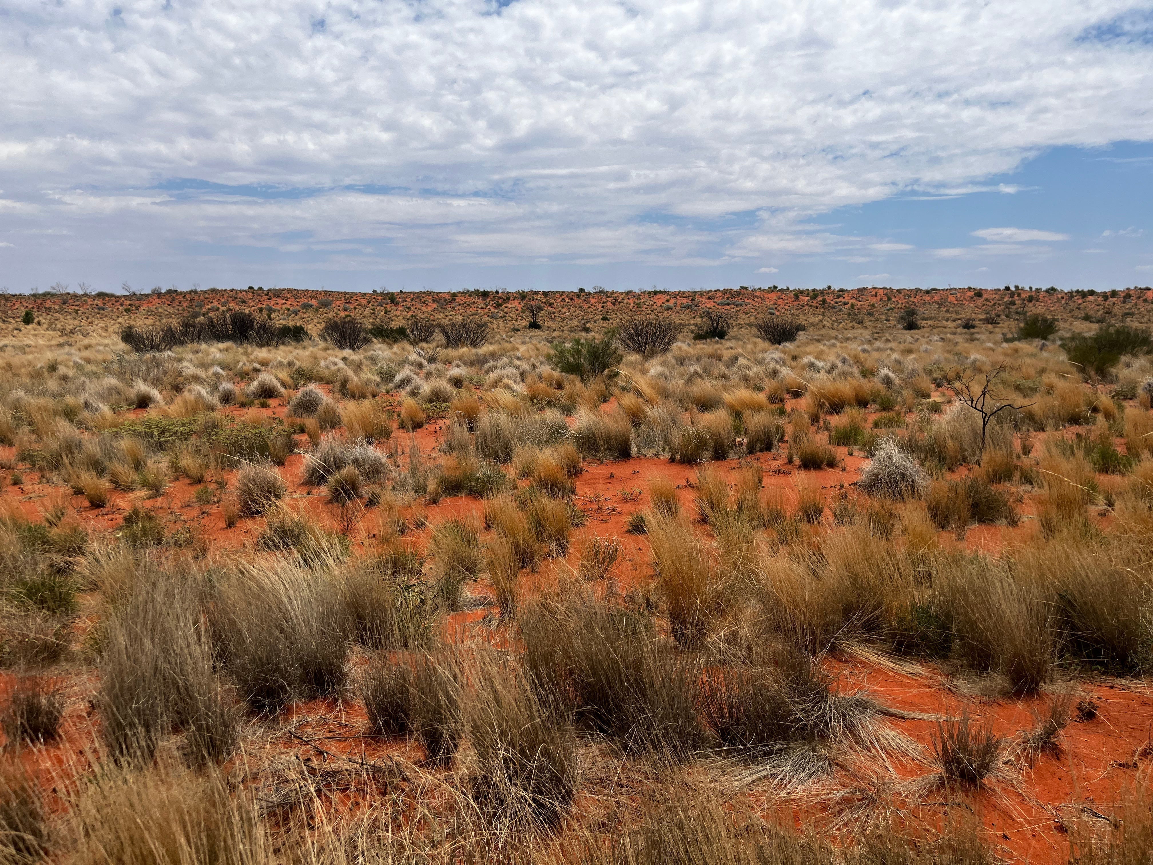 Mid West Art Prize 2025