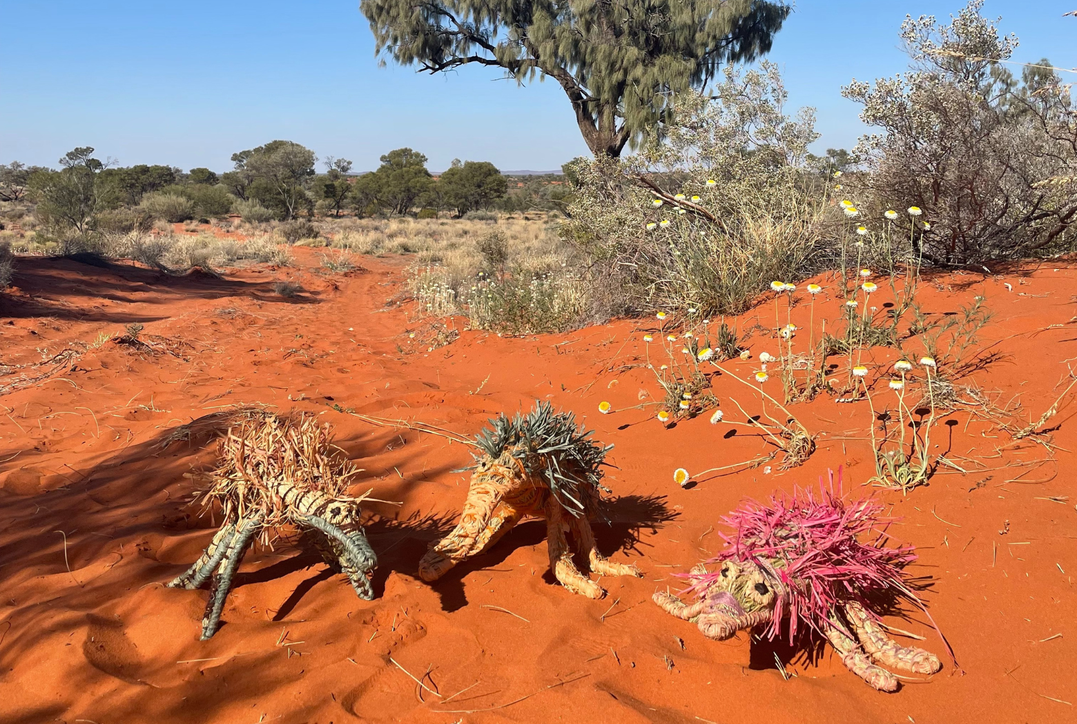 Free Shipping Terms & Conditions