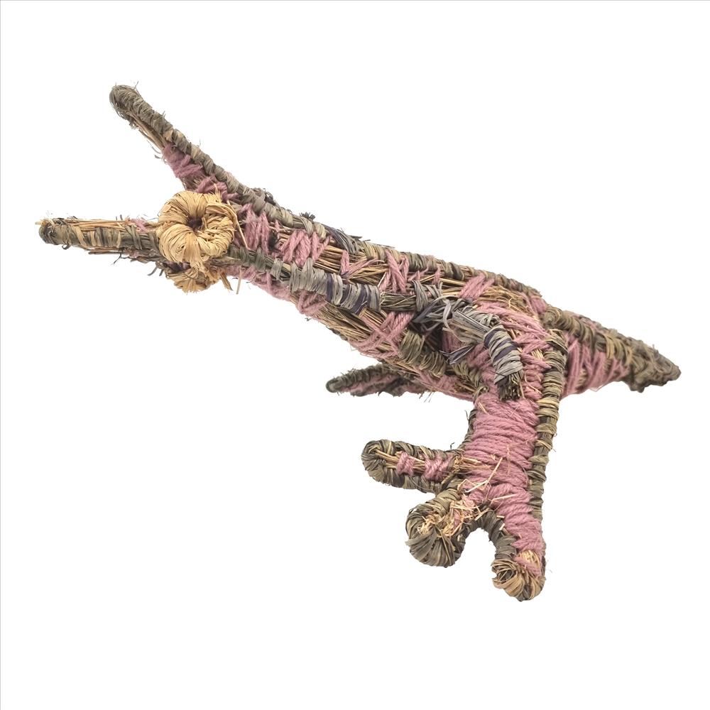 Anmanari Daisy Barney