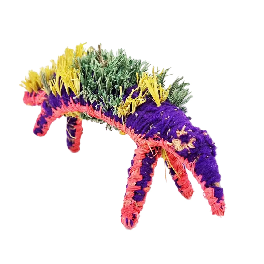 Erica Ikungka Shorty