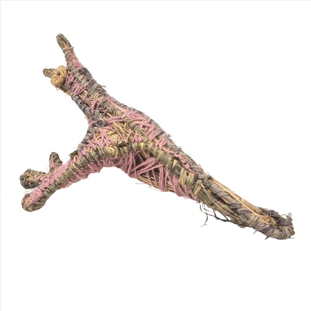 Anmanari Daisy Barney