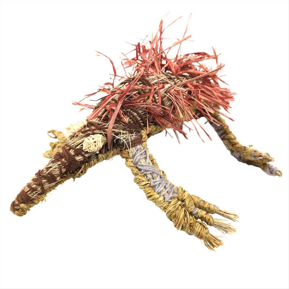 Noelene Chirrup-Kunia