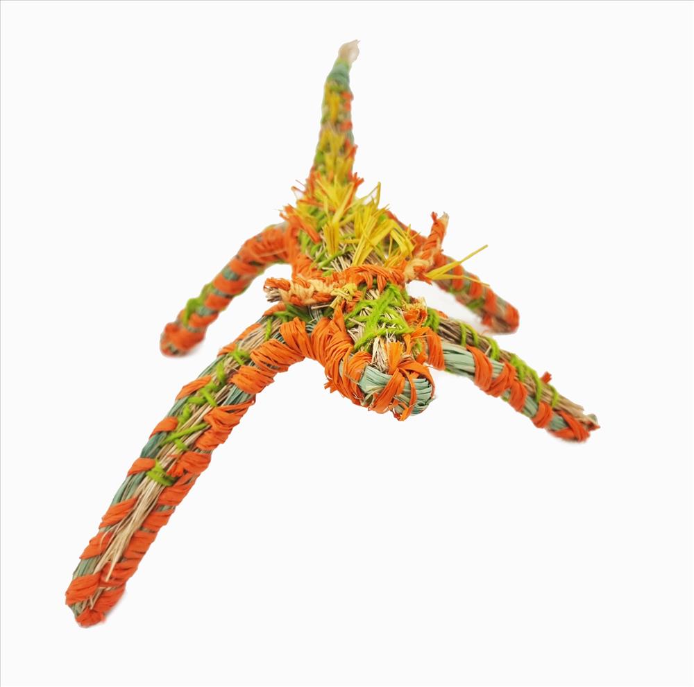 Joyce Badenoch Robin