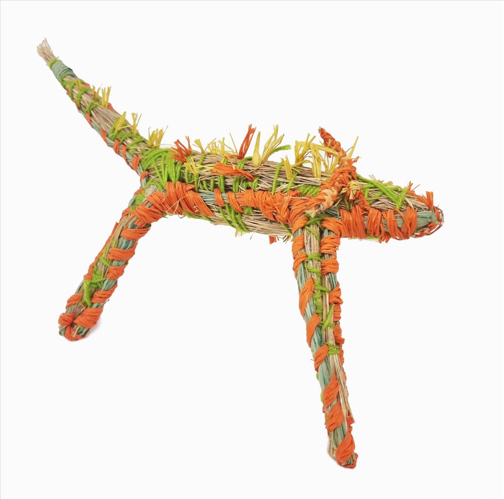 Joyce Badenoch Robin